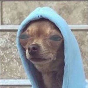 Meet your Posher, Avery